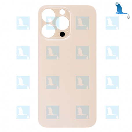 Vitre arrière - Grand orifice - Or - iPhone 13 Pro Max - oem