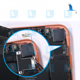 Xr - Contact plate  - iPhone XR