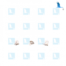 Mother board contact piece - iPhone XS Max - ori