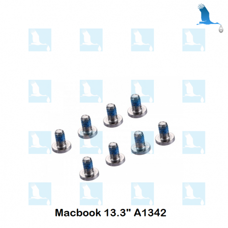 Jeu de vis du couvercle inférieur - Macbook 13,3 pouces A1342