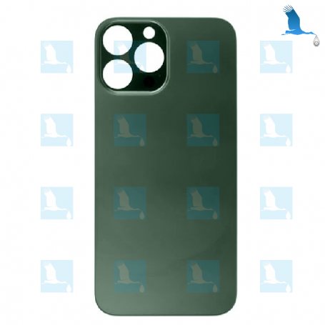 Back cover glass  - Big hole - Vert - iPhone 13 Pro - oem