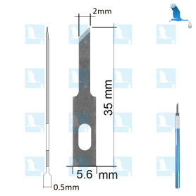 Set 10 Lames de rechange largeur 2mm  en biseau (convient au support de lame 6mm) Set 10 Lames de rechange largeur 2mm en biseau (convient au support de lame 6mm)
