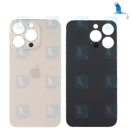 Back cover glass - Foro grande - Oro - iPhone 13 Pro - oem