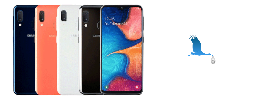 A205F - A20 (04.2019)