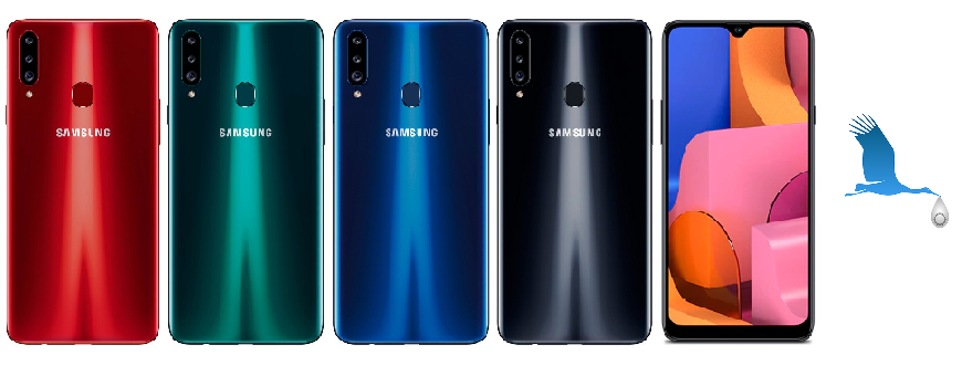 A207F - A20s (10.2019)