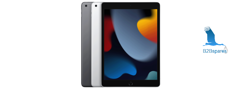 iPad 9 - 10,2" (2021)