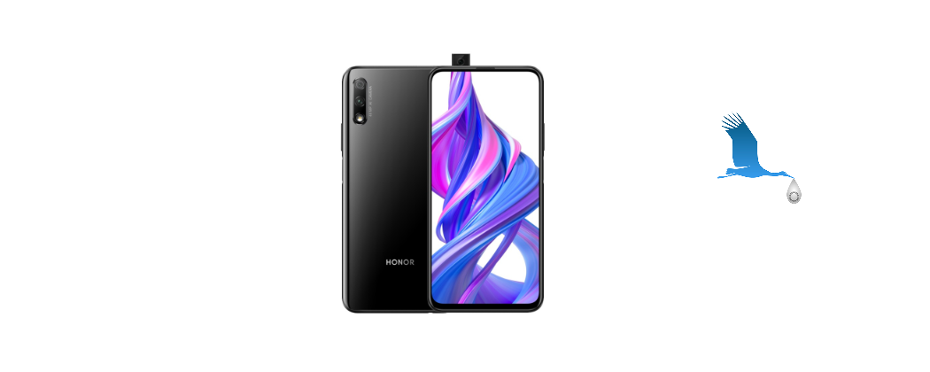 Honor 9X