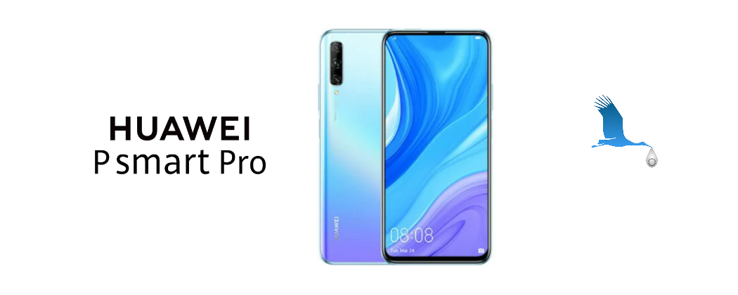 P Smart Pro 2019