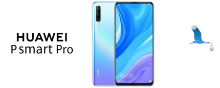 P Smart Pro 2019