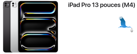 iPad Pro 13 inch (M4)