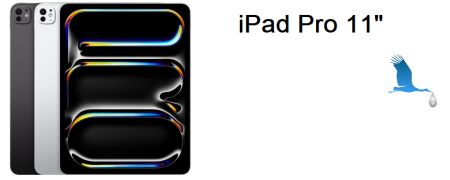 iPad Pro 11" 2025 (M5)